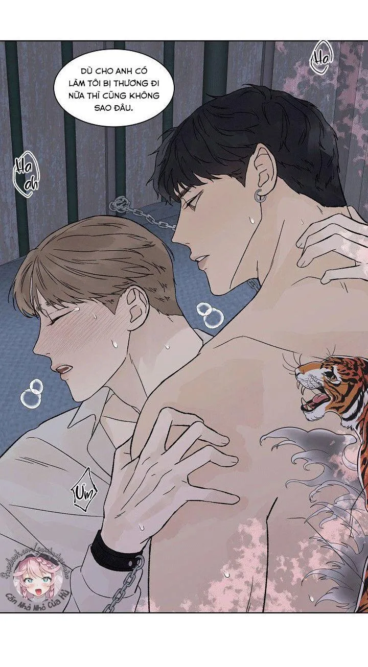 Tình Yêu Nồng Cháy Chapter 52 Trang 19