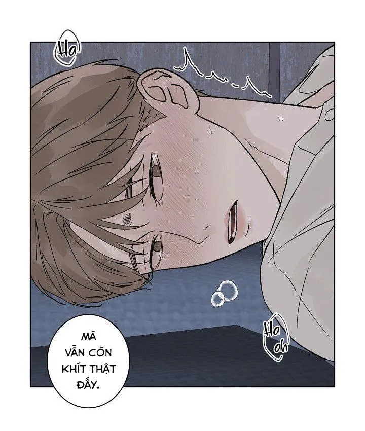 Tình Yêu Nồng Cháy Chapter 52 Trang 21