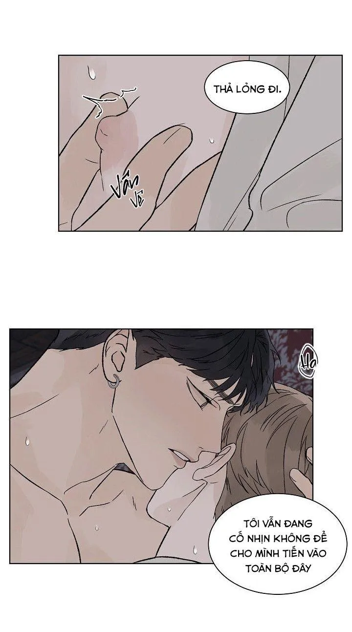 Tình Yêu Nồng Cháy Chapter 52 Trang 22