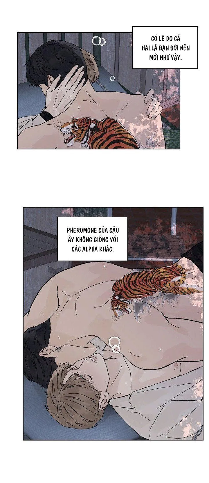 Tình Yêu Nồng Cháy Chapter 52 Trang 26