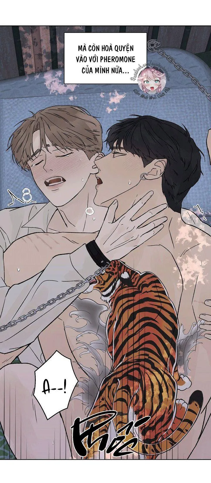 Tình Yêu Nồng Cháy Chapter 52 Trang 28