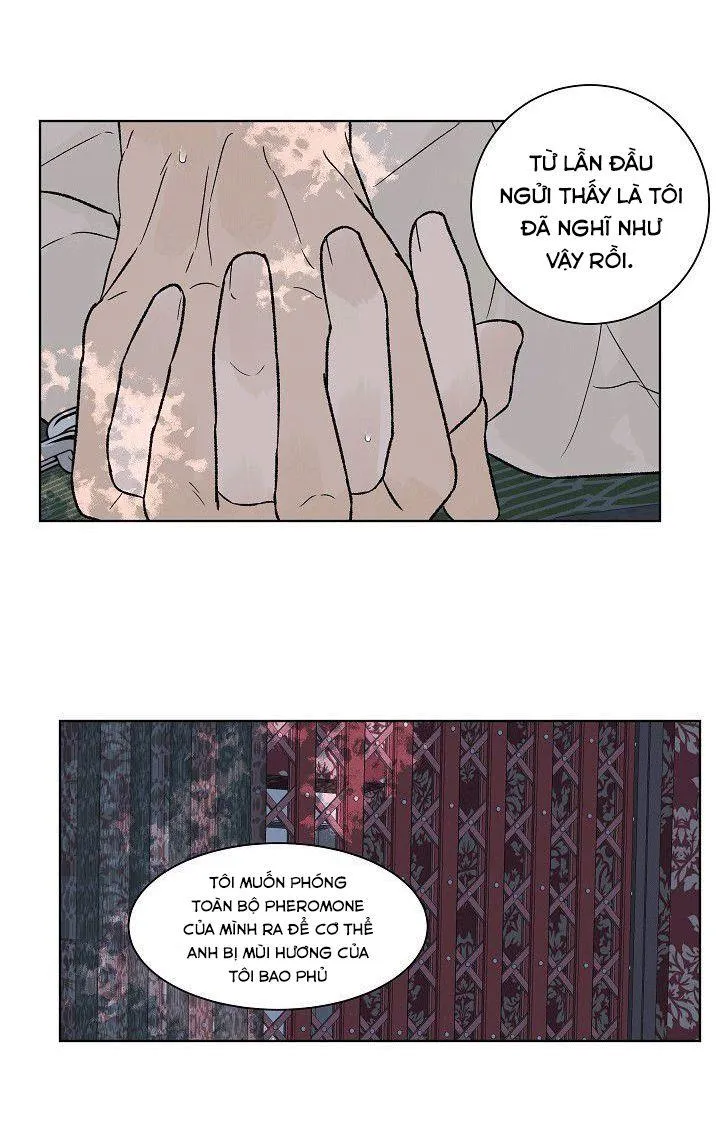 Tình Yêu Nồng Cháy Chapter 52 Trang 32