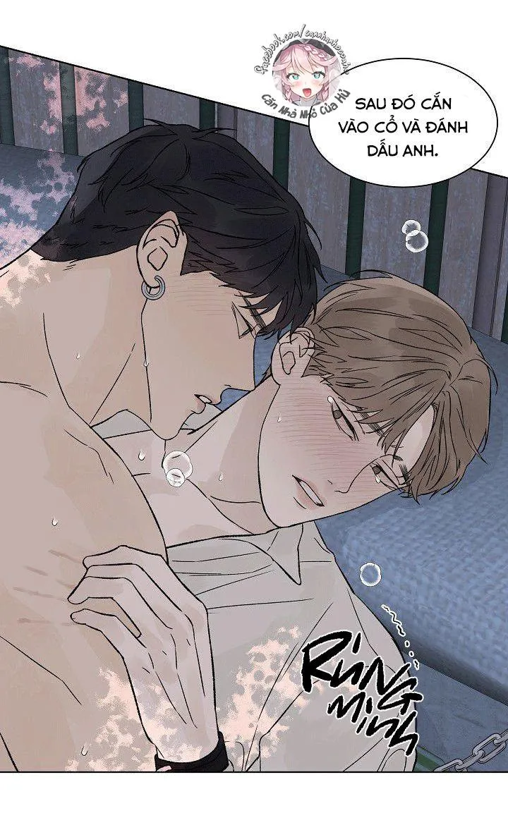 Tình Yêu Nồng Cháy Chapter 52 Trang 33