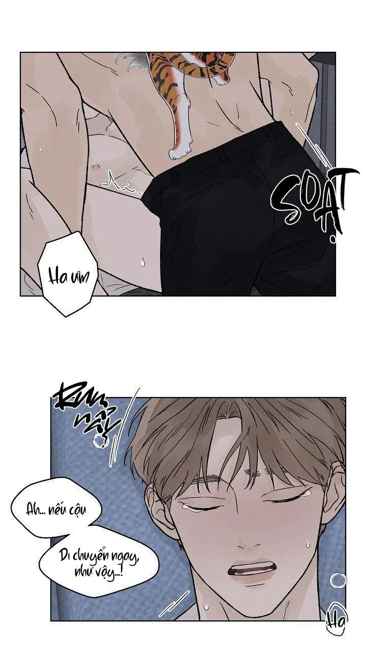 Tình Yêu Nồng Cháy Chapter 52 Trang 35