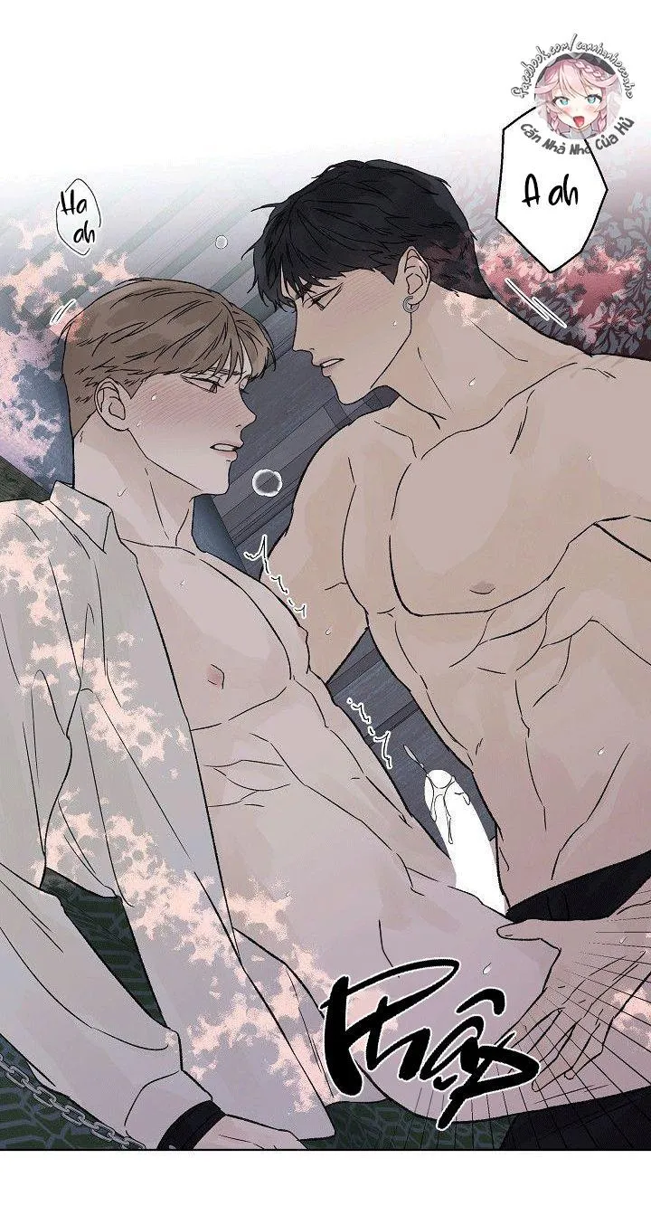 Tình Yêu Nồng Cháy Chapter 52 Trang 36