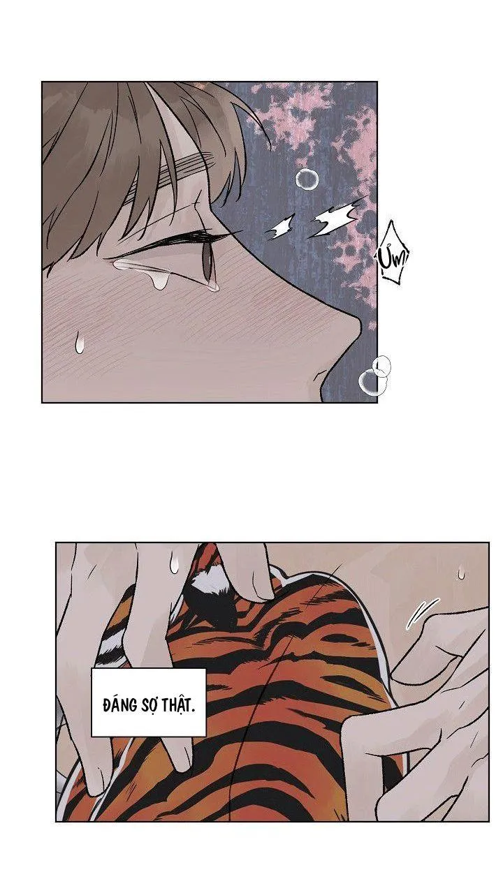 Tình Yêu Nồng Cháy Chapter 52 Trang 37