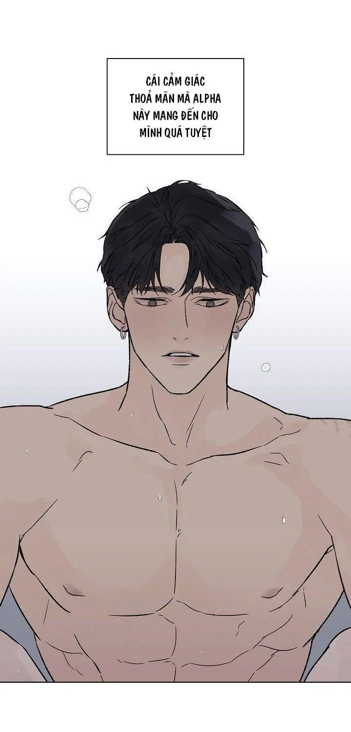 Tình Yêu Nồng Cháy Chapter 52 Trang 38