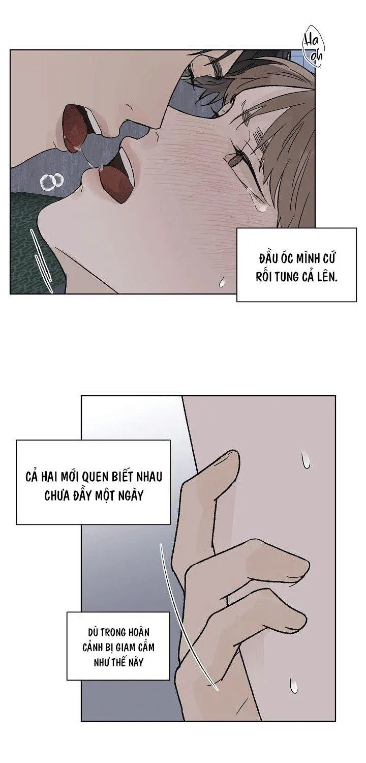 Tình Yêu Nồng Cháy Chapter 52 Trang 39