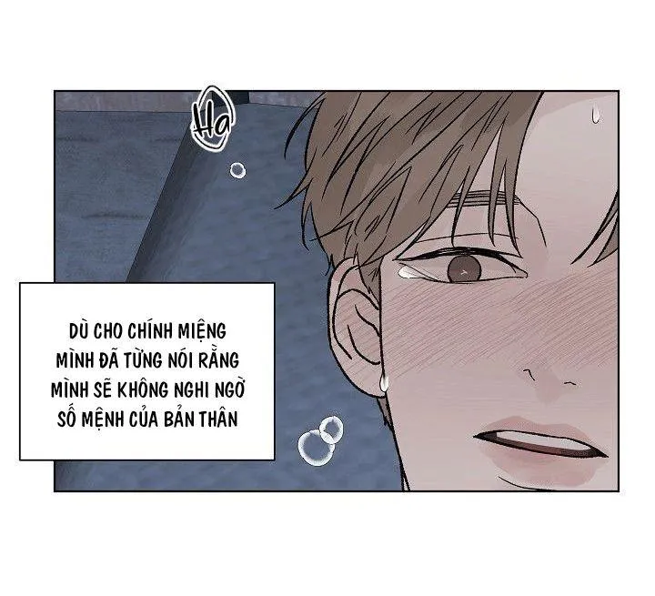 Tình Yêu Nồng Cháy Chapter 52 Trang 41