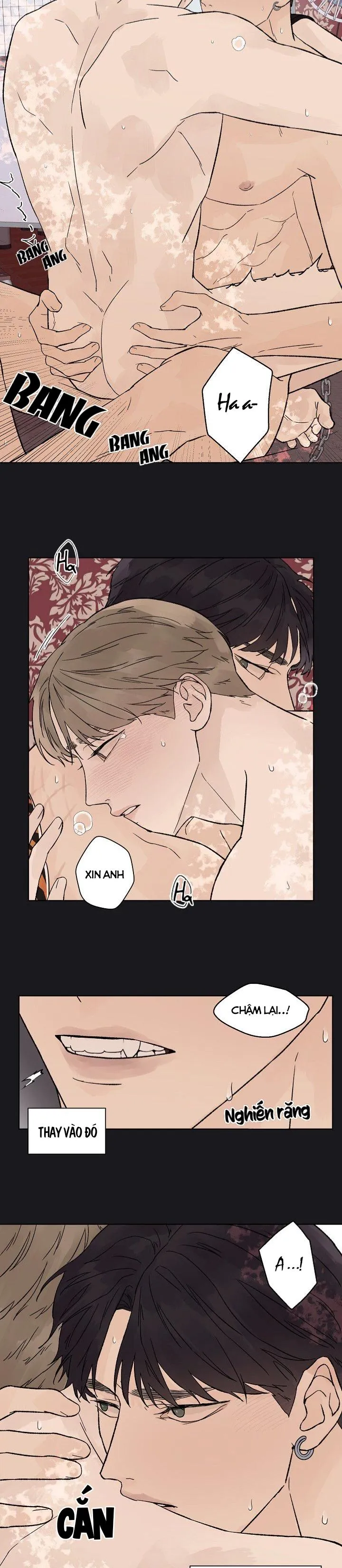 Tình Yêu Nồng Cháy Chapter 53 Trang 4