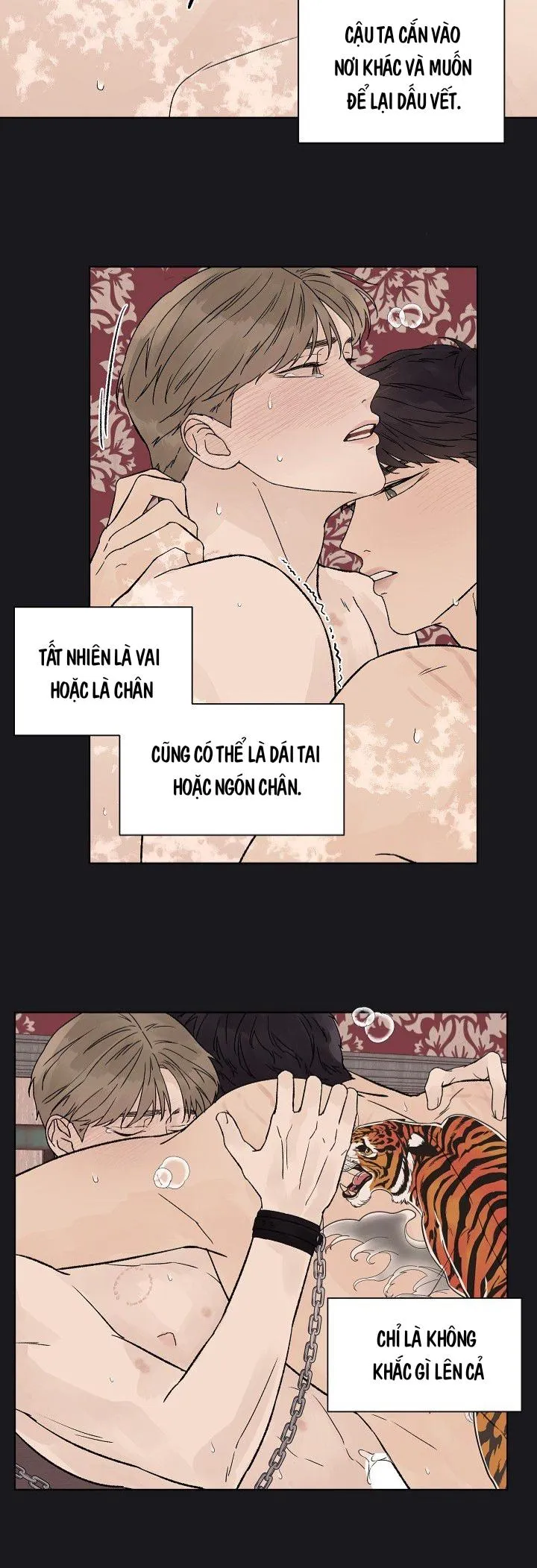Tình Yêu Nồng Cháy Chapter 53 Trang 5