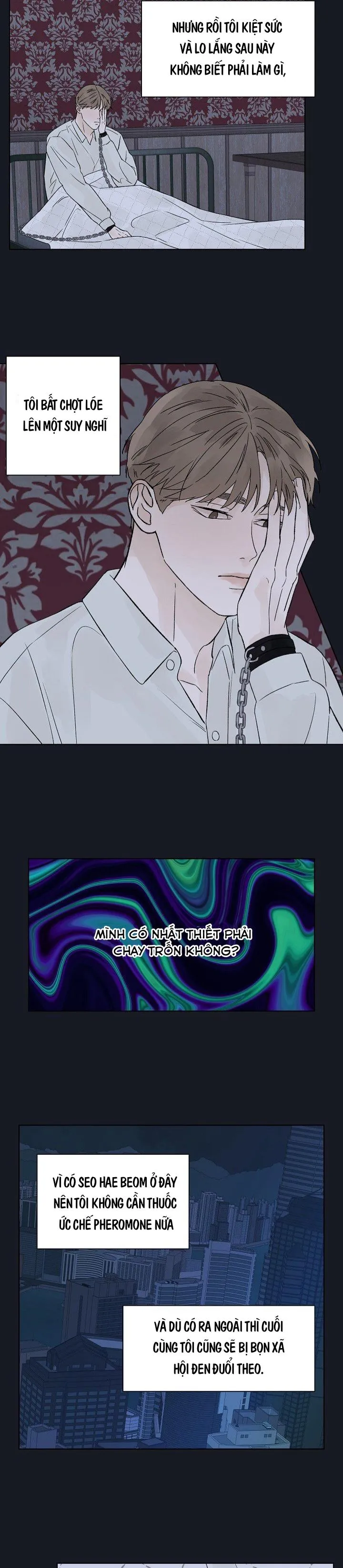 Tình Yêu Nồng Cháy Chapter 53 Trang 10