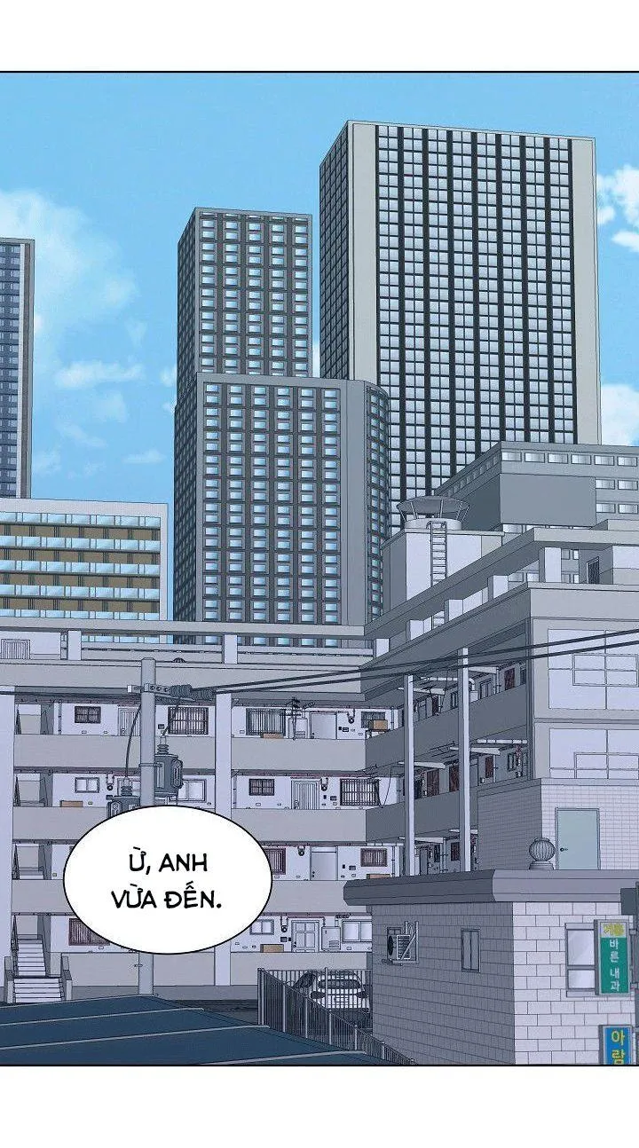 Tình Yêu Nồng Cháy Chapter 55 Trang 19