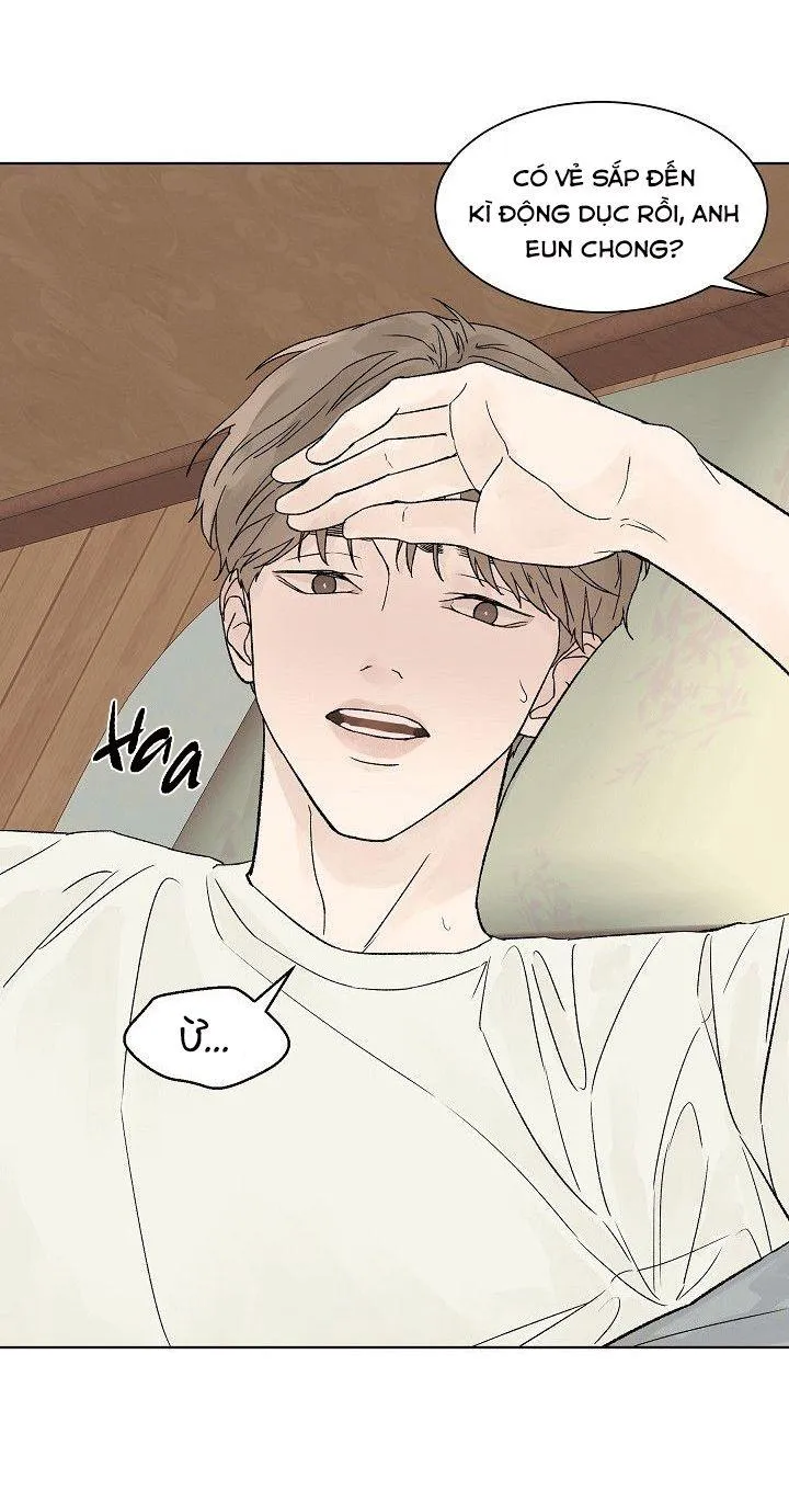 Tình Yêu Nồng Cháy Chapter 55 Trang 24