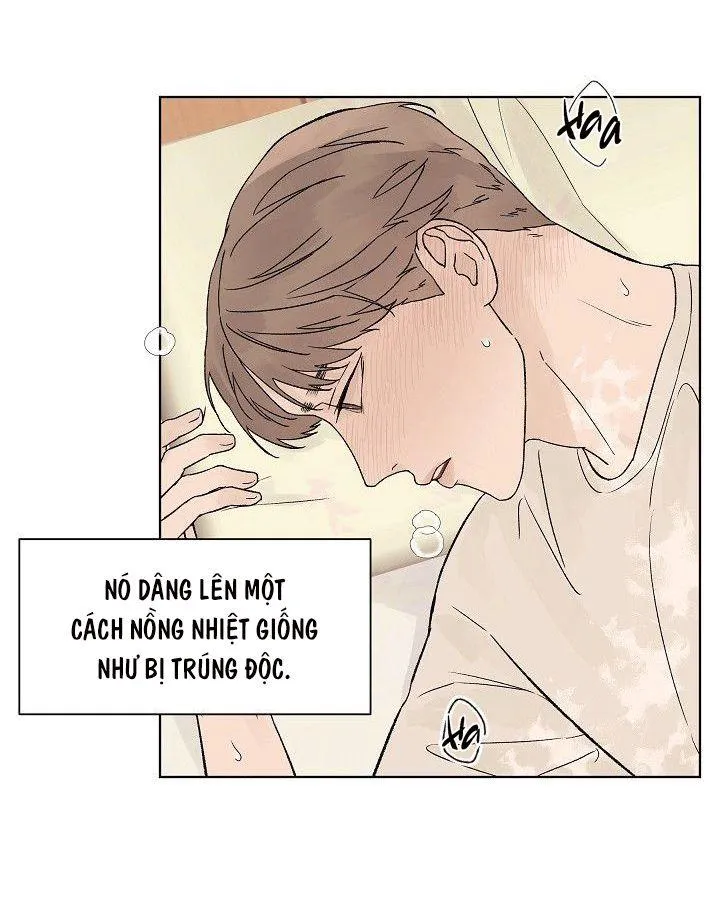 Tình Yêu Nồng Cháy Chapter 55 Trang 37