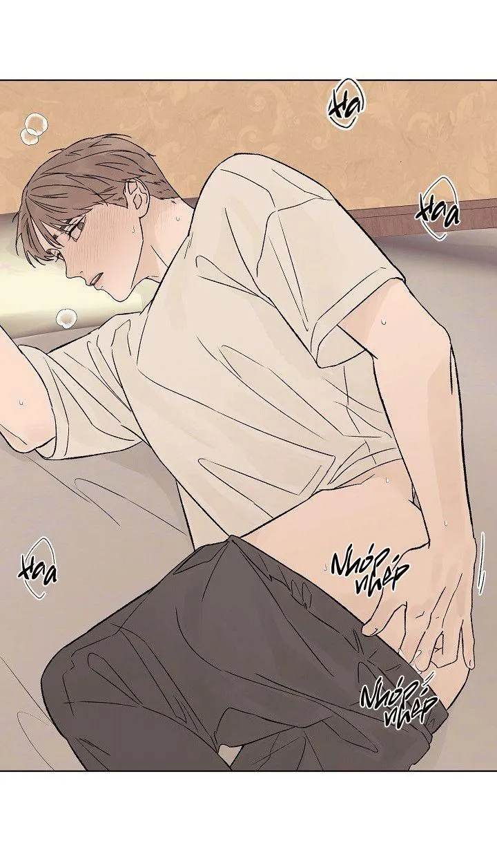 Tình Yêu Nồng Cháy Chapter 55 Trang 42