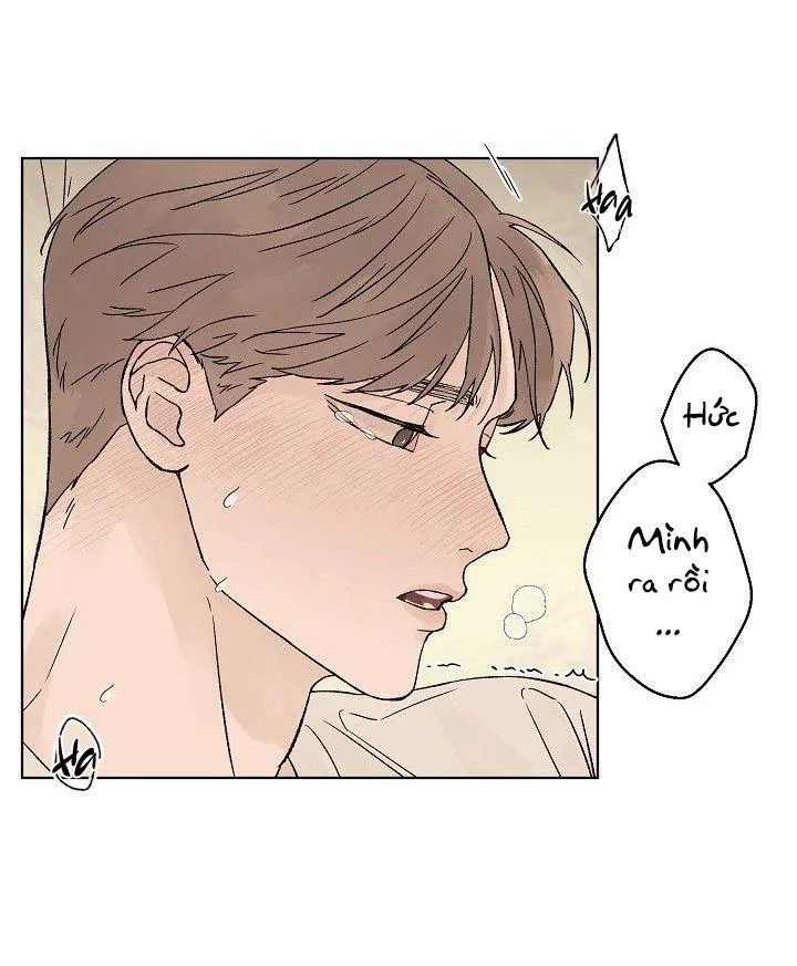 Tình Yêu Nồng Cháy Chapter 55 Trang 52