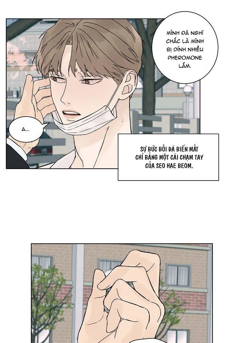 Tình Yêu Nồng Cháy Chapter 56 Trang 27