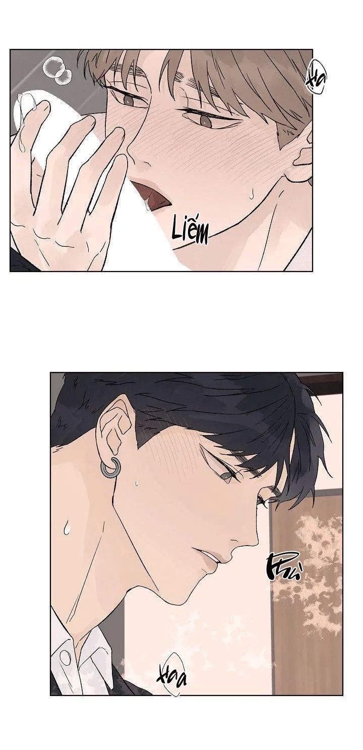 Tình Yêu Nồng Cháy Chapter 57 Trang 31