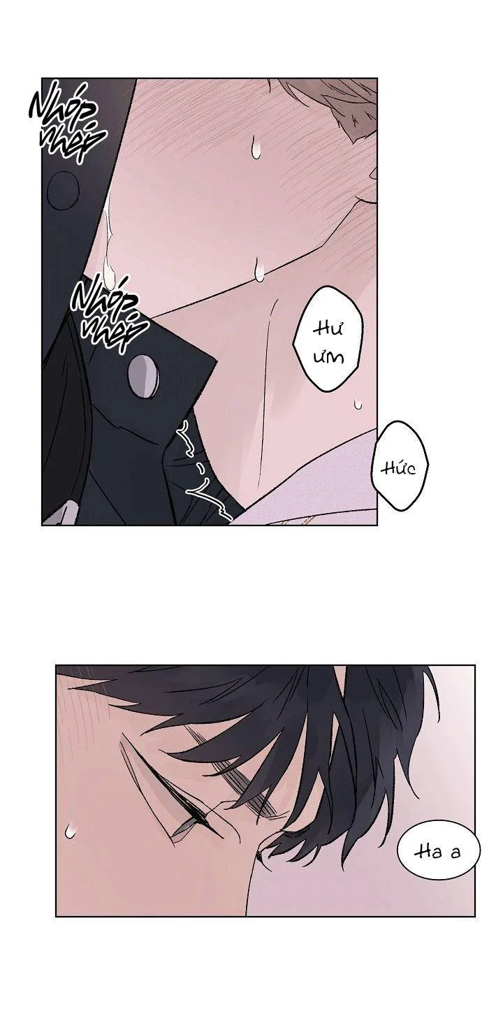 Tình Yêu Nồng Cháy Chapter 57 Trang 39