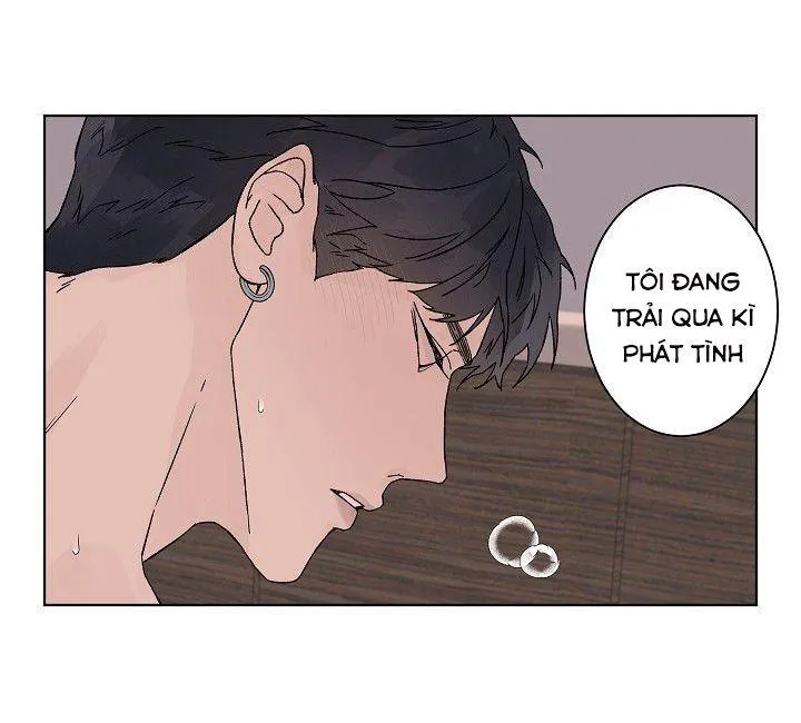 Tình Yêu Nồng Cháy Chapter 57 Trang 43