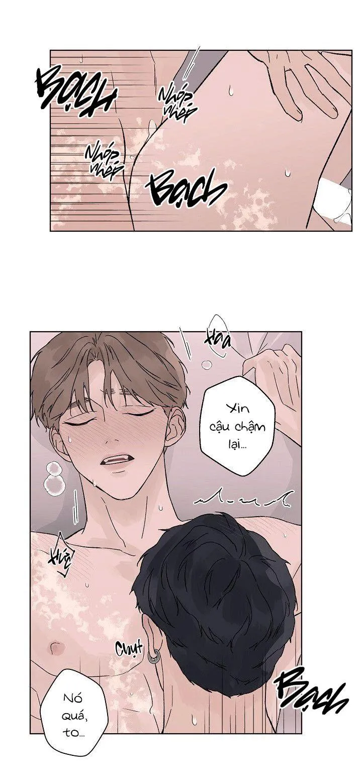 Tình Yêu Nồng Cháy Chapter 57 Trang 45