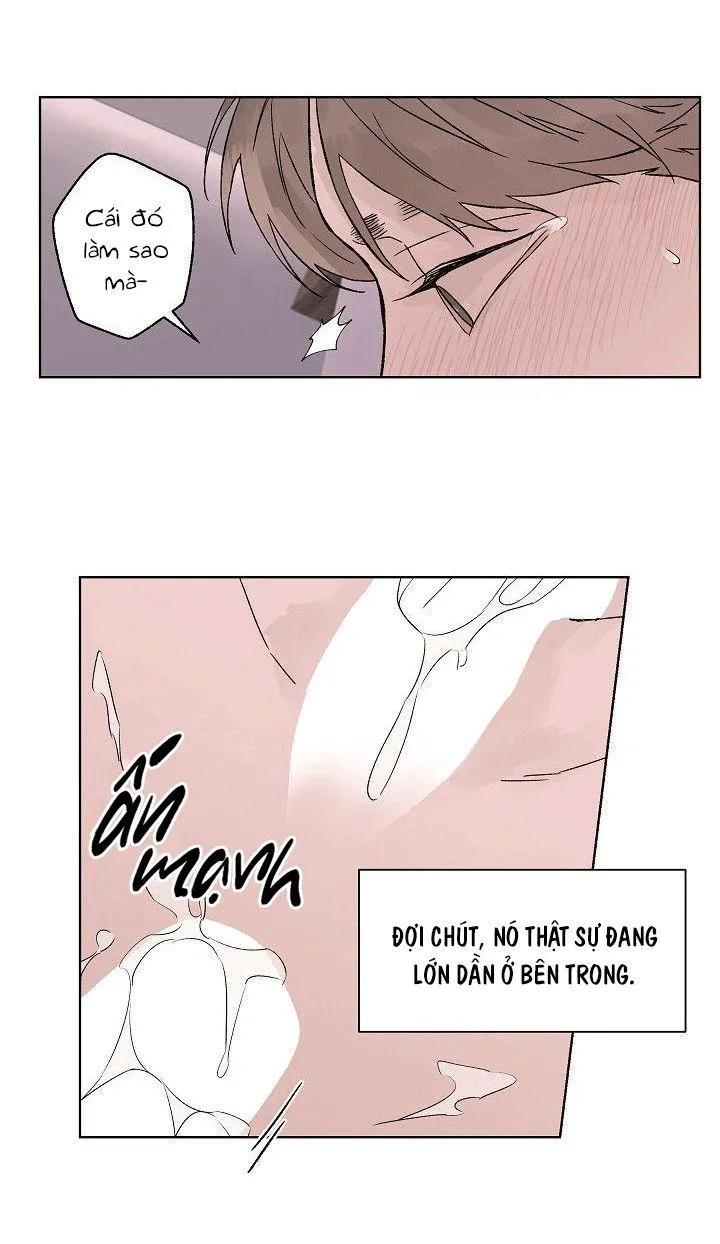 Tình Yêu Nồng Cháy Chapter 57 Trang 49