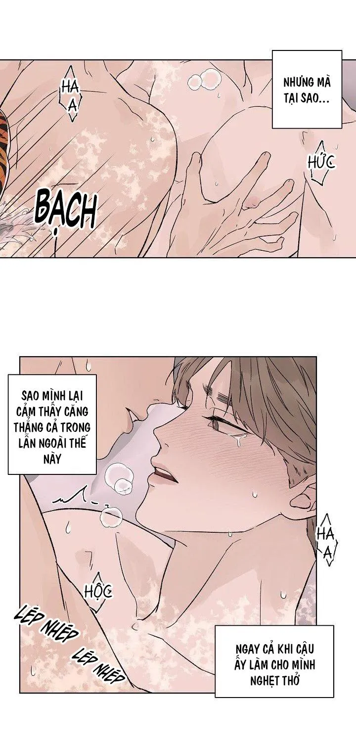 Tình Yêu Nồng Cháy Chapter 58 Trang 7