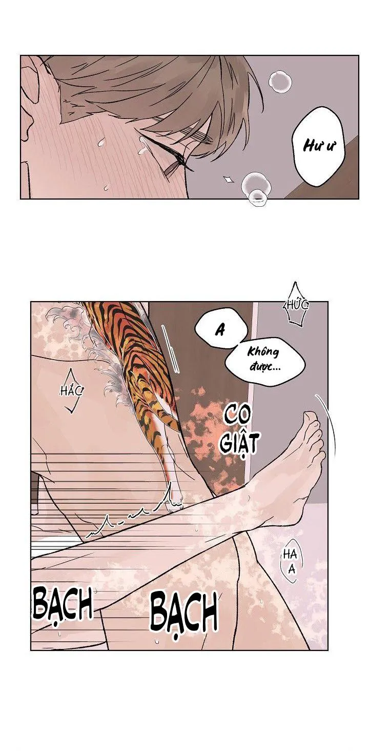 Tình Yêu Nồng Cháy Chapter 58 Trang 19