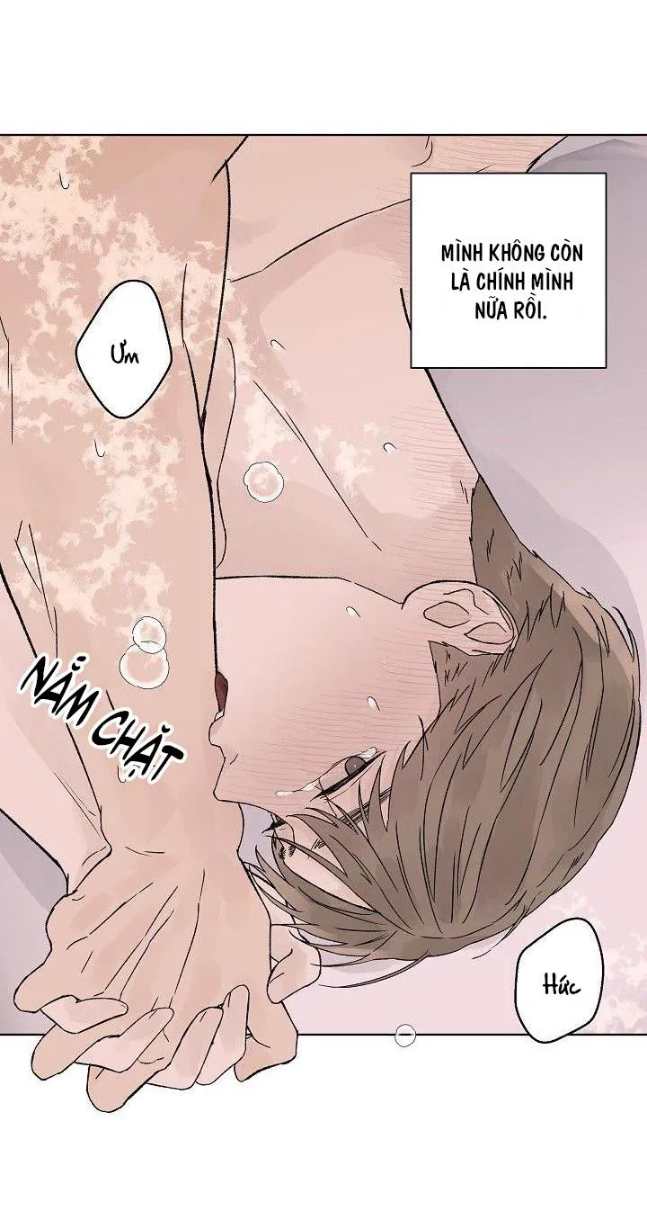 Tình Yêu Nồng Cháy Chapter 58 Trang 21