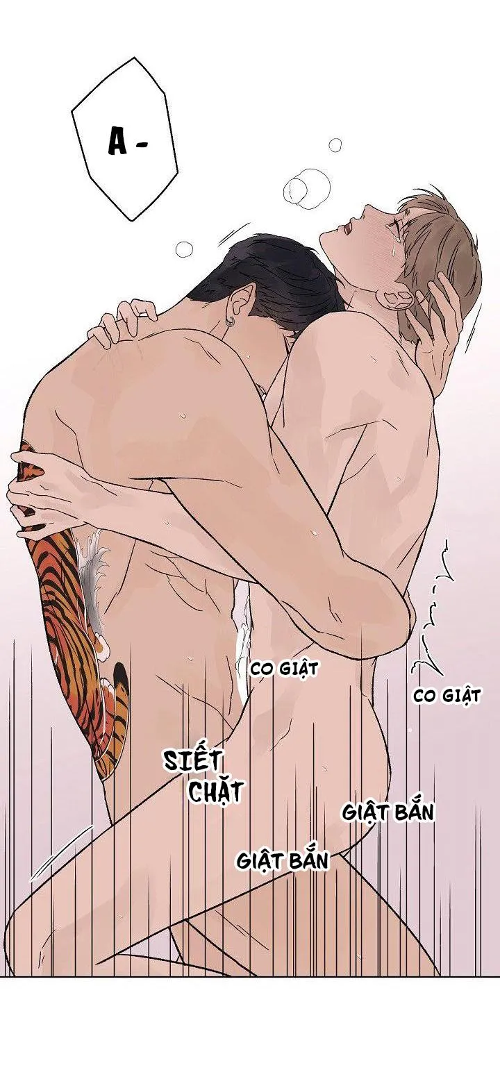 Tình Yêu Nồng Cháy Chapter 58 Trang 23