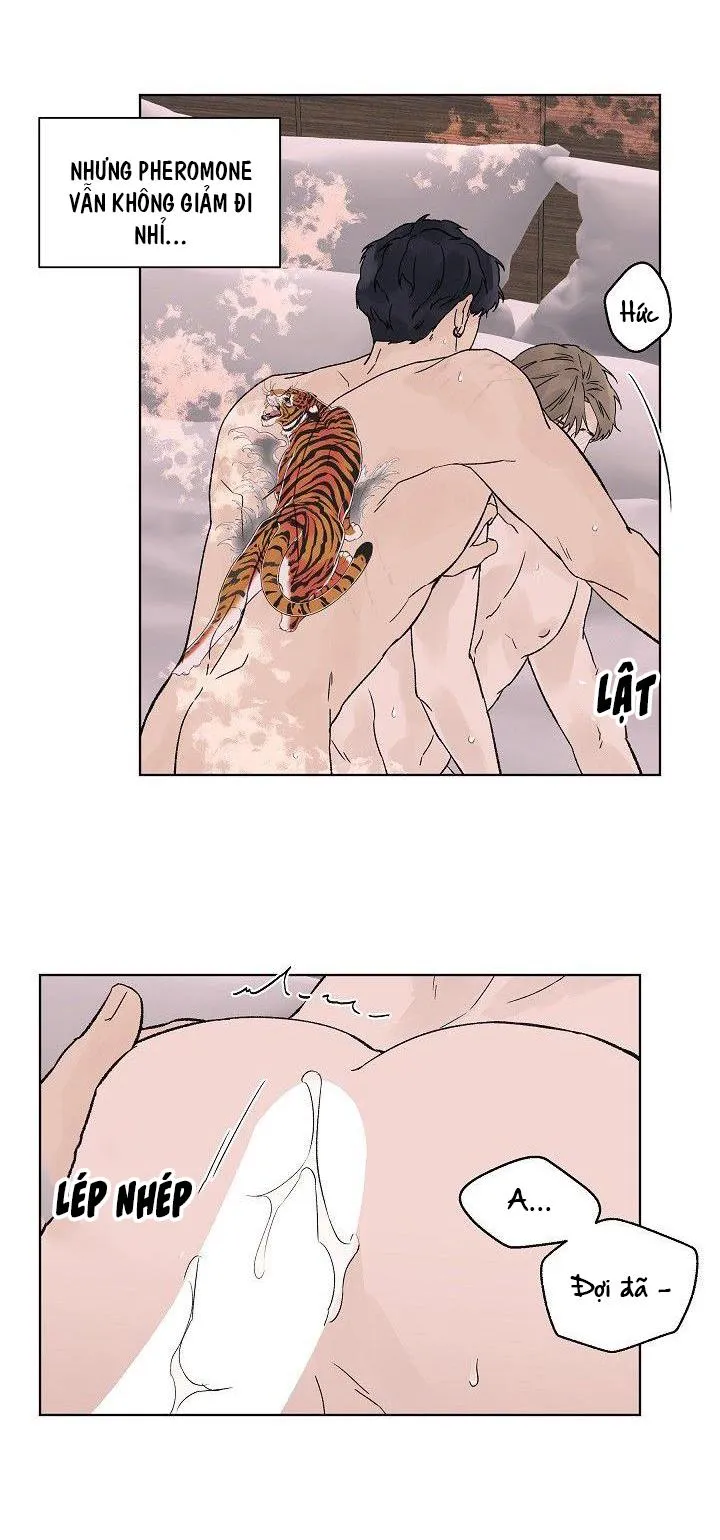 Tình Yêu Nồng Cháy Chapter 58 Trang 28
