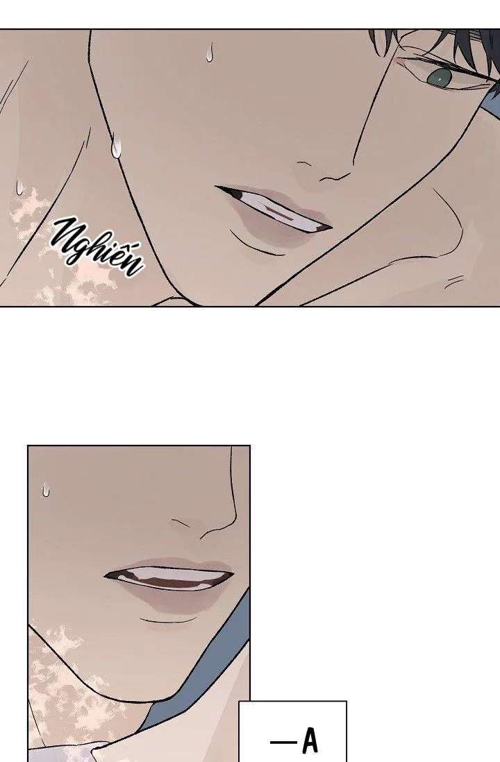 Tình Yêu Nồng Cháy Chapter 60 Trang 44