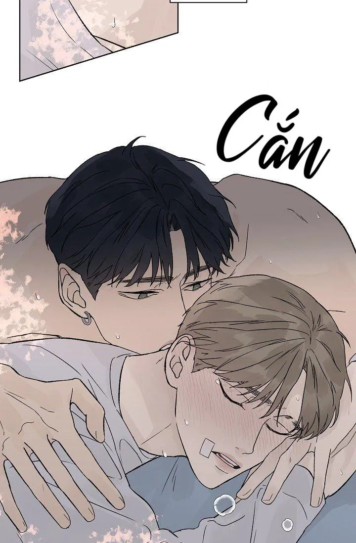 Tình Yêu Nồng Cháy Chapter 60 Trang 45