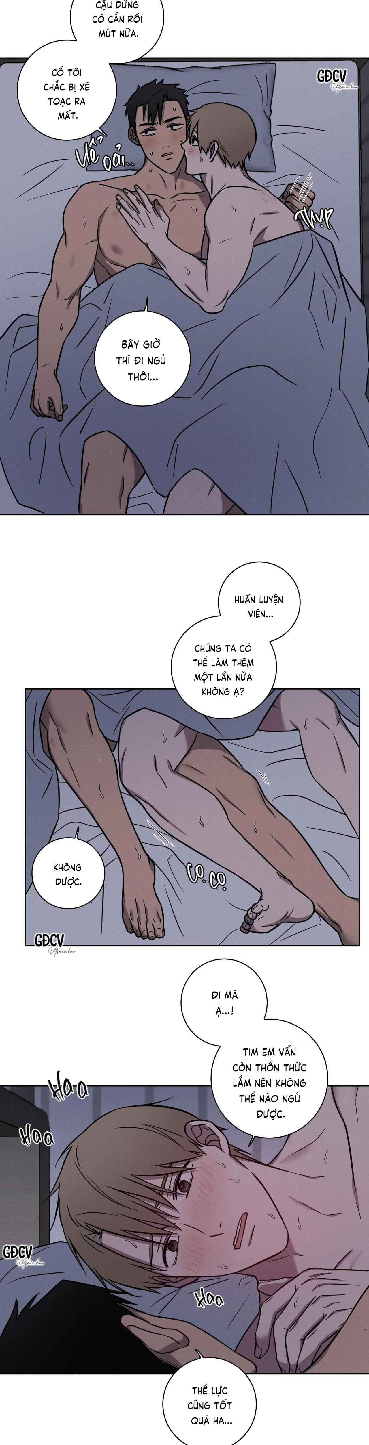 Tình Yêu Ở Phòng Gym Chapter 17 Trang 3