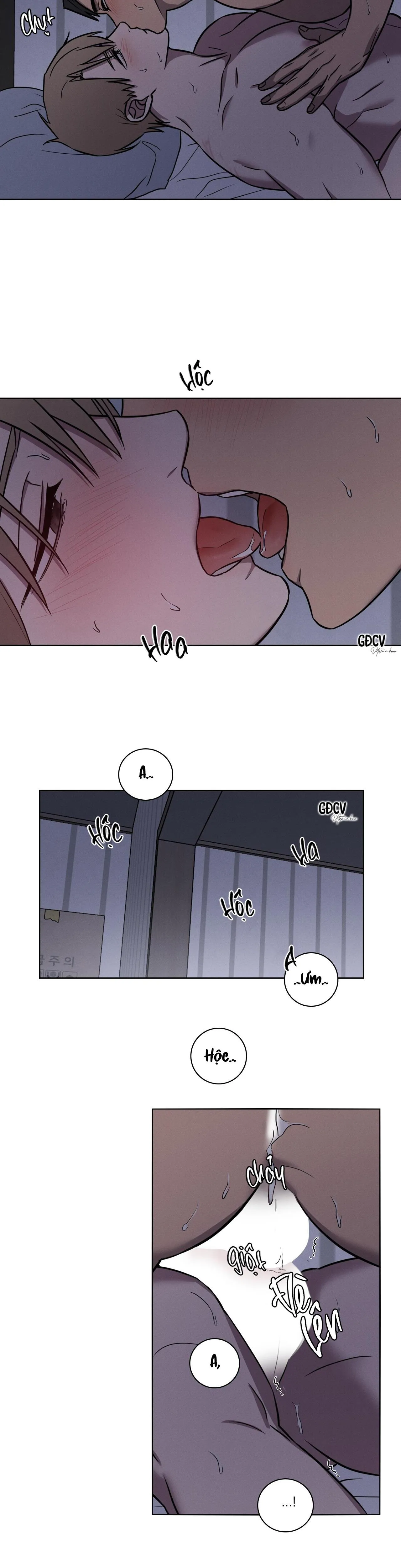 Tình Yêu Ở Phòng Gym Chapter 17 Trang 13