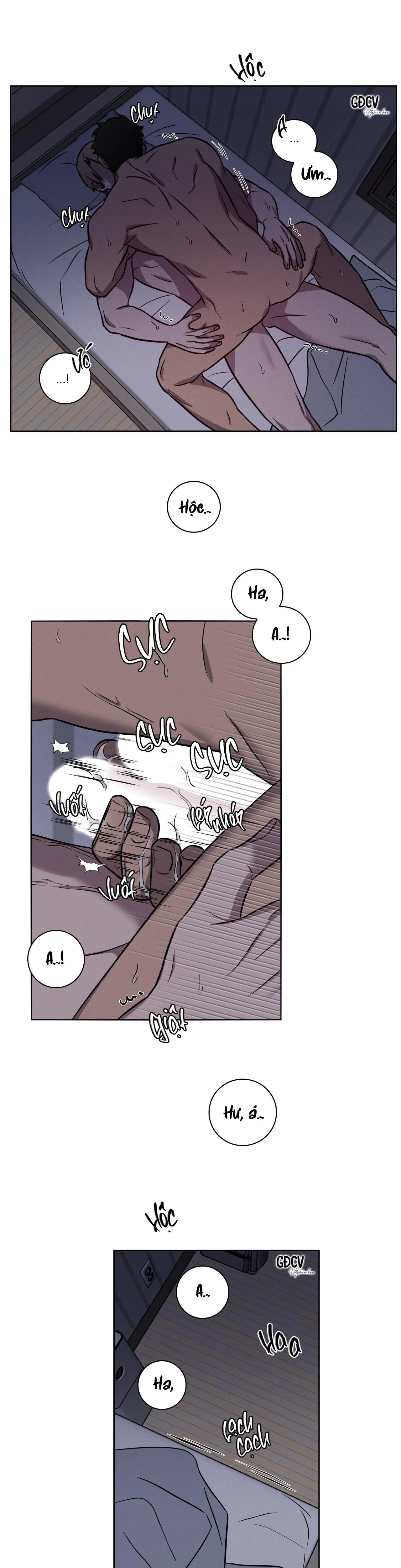 Tình Yêu Ở Phòng Gym Chapter 17 Trang 14