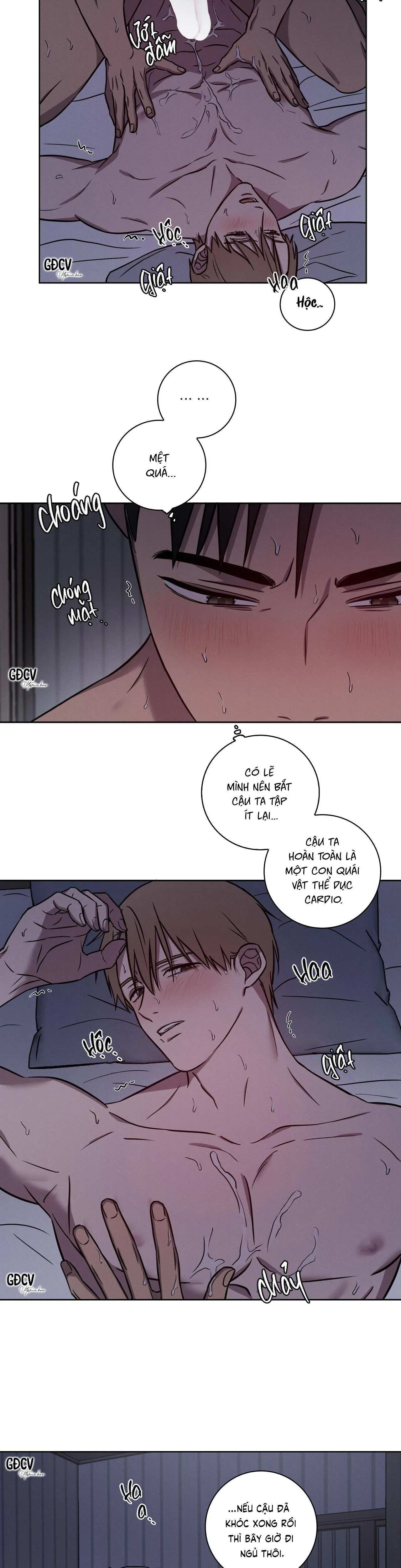Tình Yêu Ở Phòng Gym Chapter 17 Trang 17