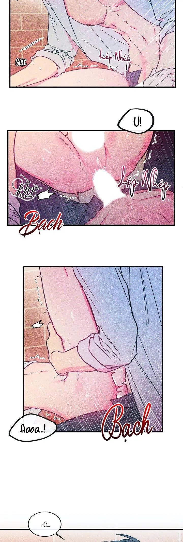 Tình Yêu Trong Căn Bếp Nhỏ Chapter 2 Trang 13