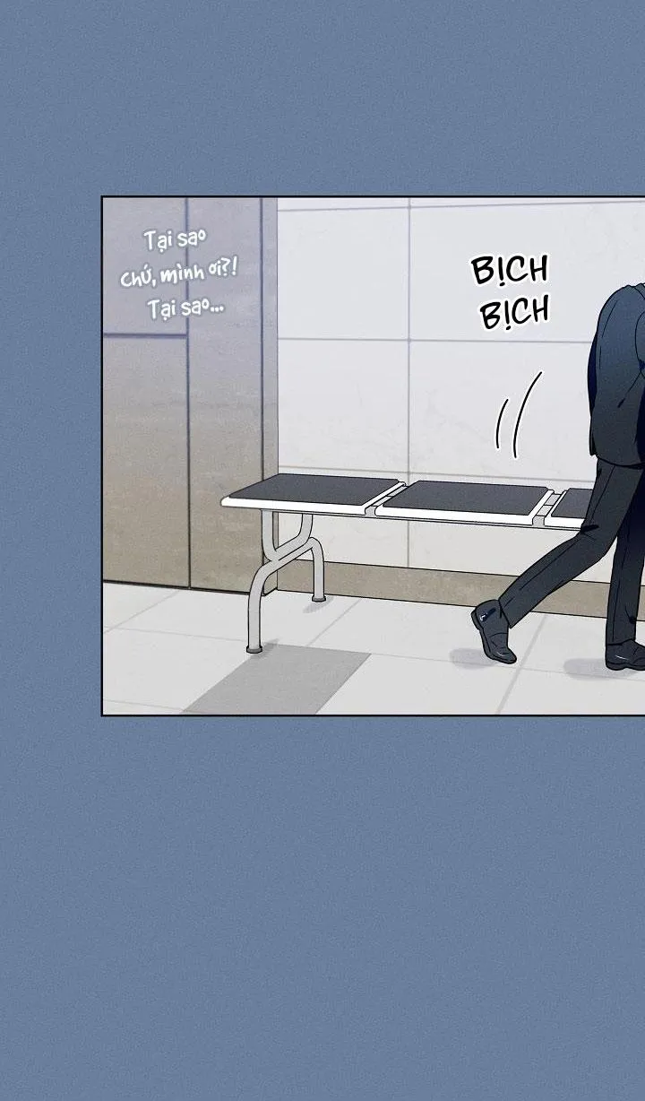Tố Cáo Sếp Tôi Chapter 12 Trang 3