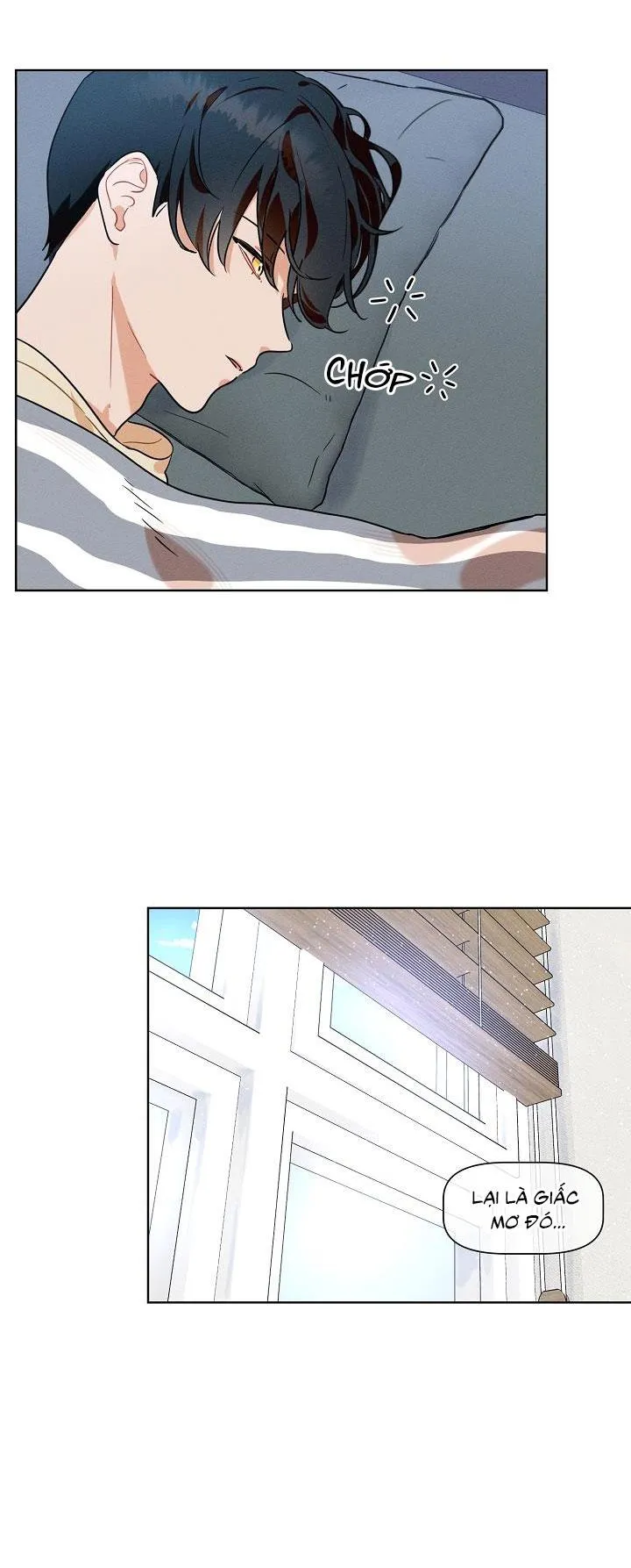 Tố Cáo Sếp Tôi Chapter 12 Trang 14