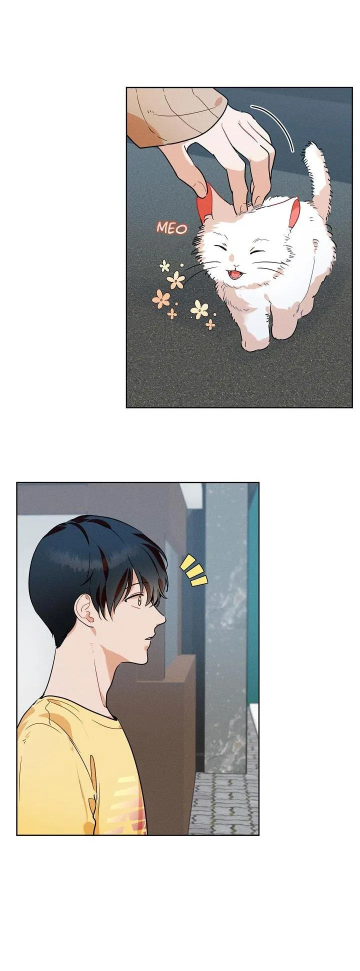 Tố Cáo Sếp Tôi Chapter 12 Trang 17