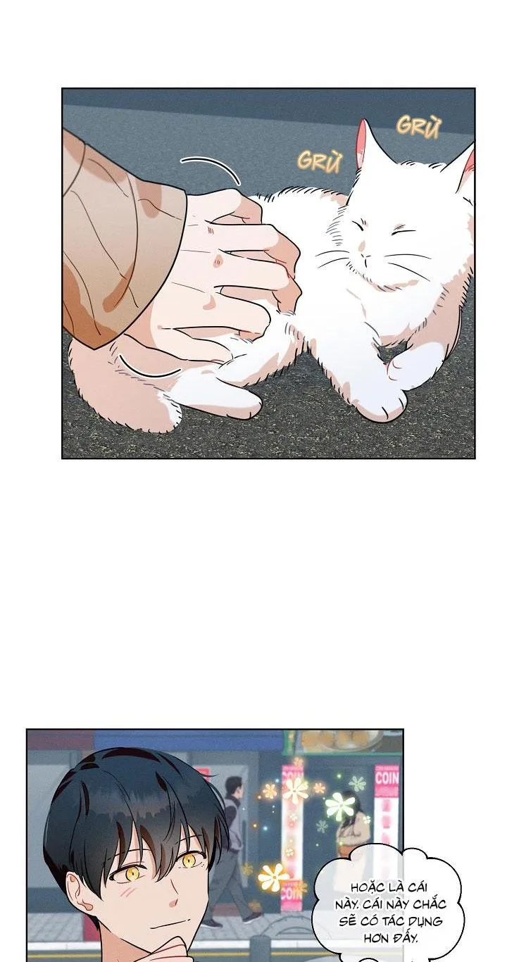 Tố Cáo Sếp Tôi Chapter 12 Trang 20