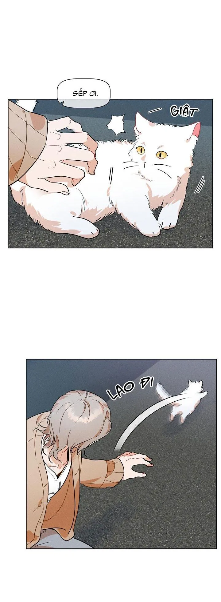 Tố Cáo Sếp Tôi Chapter 12 Trang 23