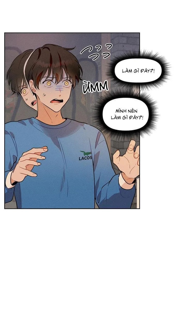 Tố Cáo Sếp Tôi Chapter 13 Trang 25