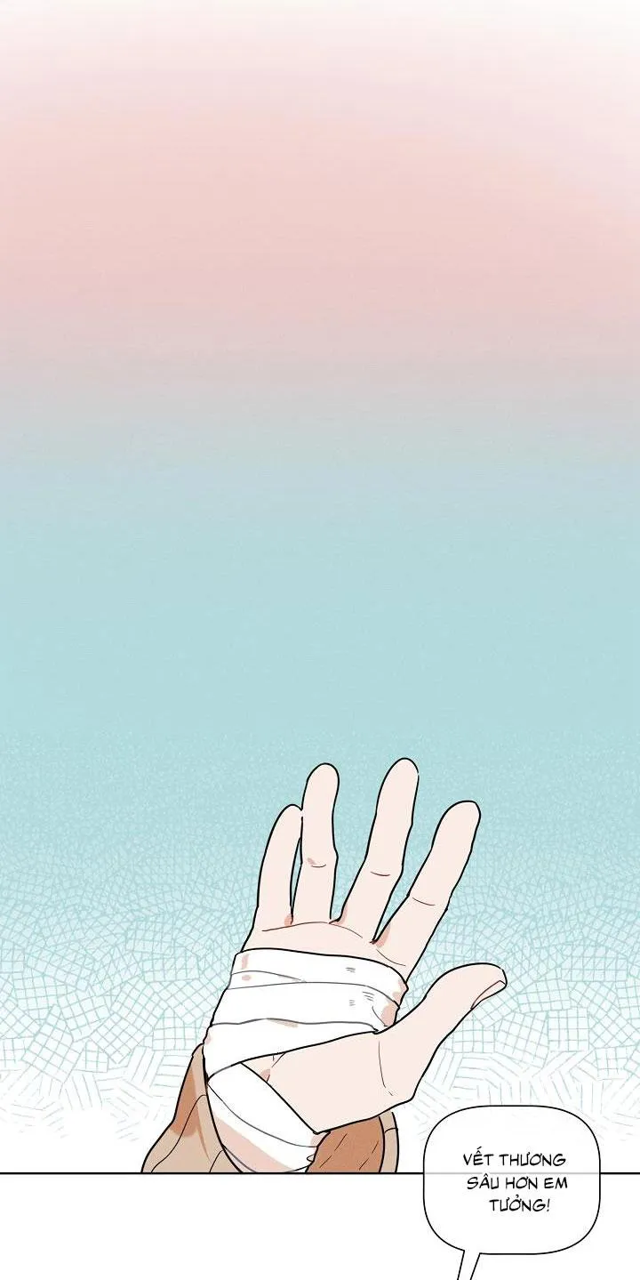 Tố Cáo Sếp Tôi Chapter 13 Trang 47