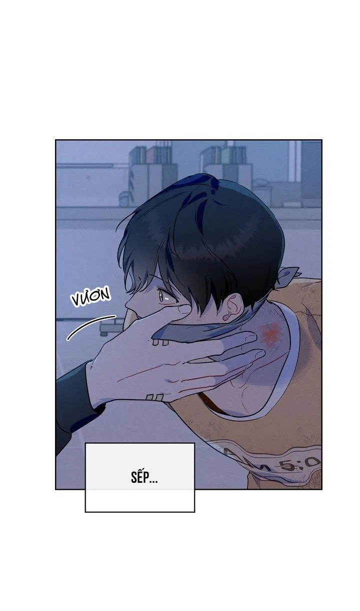 Tố Cáo Sếp Tôi Chapter 14 Trang 20