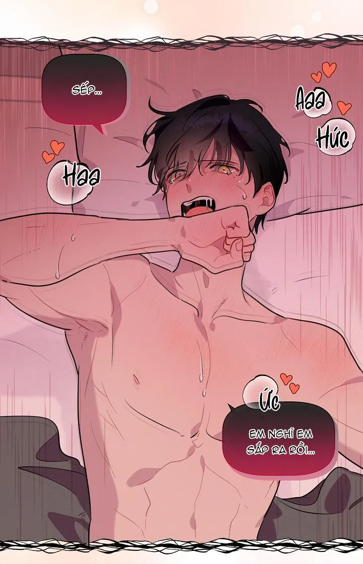 Tố Cáo Sếp Tôi Chapter 15 Trang 49