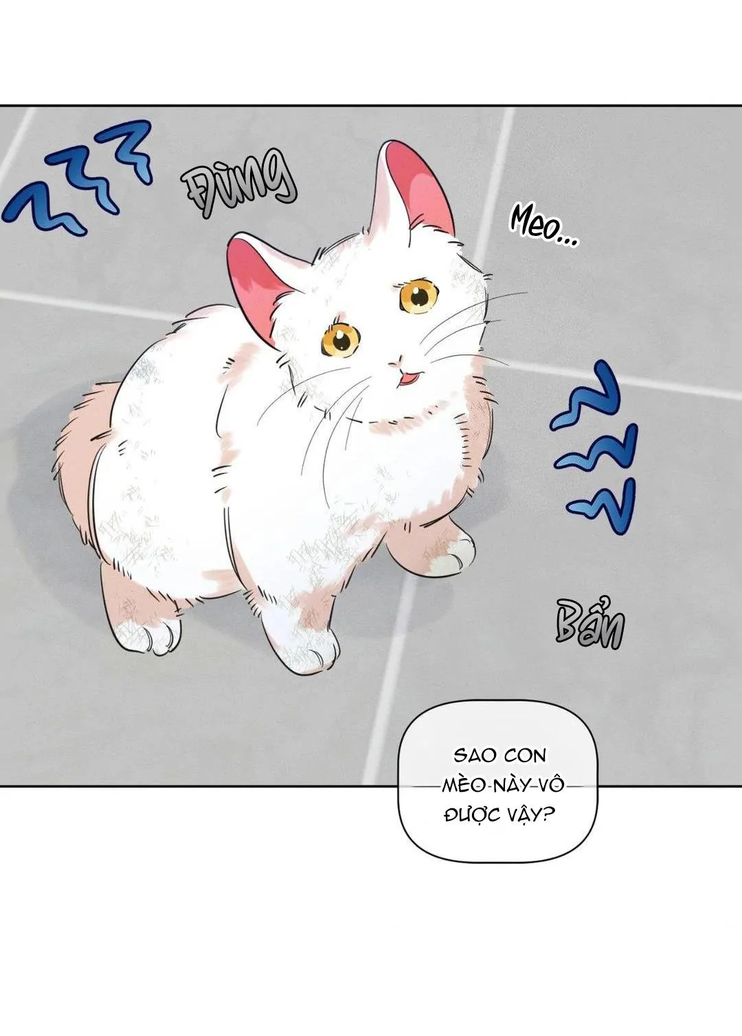 Tố Cáo Sếp Tôi Chapter 16 Trang 30