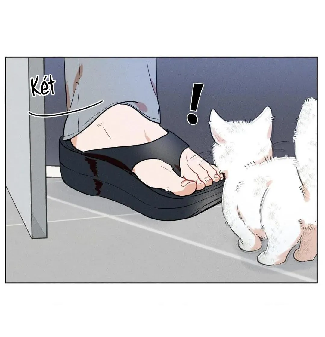 Tố Cáo Sếp Tôi Chapter 16 Trang 34